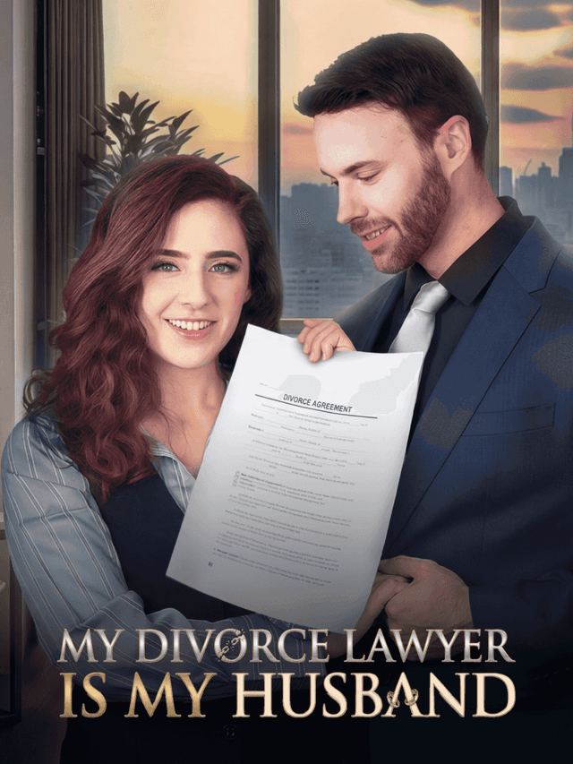 My Divorce Lawyer is My Husband cover