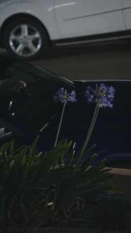 Episode 1 cover