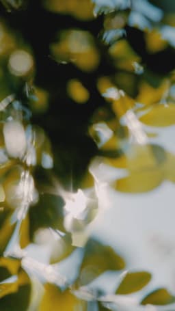 Episode 45 cover