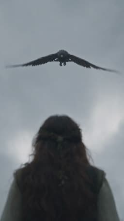 Episode 7 cover