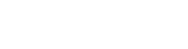 ワイルド・ラブ:リアリティ